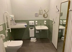 Hadicaptoilettet